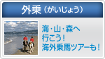 外乗（がいじょう）